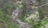 Trail Walking Val-Cenis - Bramans/fort de l'Esseillon - Photo 9