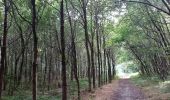 Tour Wandern Bergen - Lieu dit le Bois brûlé  - Photo 4