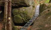 Percorso A piedi Raspenava - NS Oldřichovské háje a skály - Photo 1