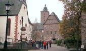 Excursión A pie Steinau an der Straße - Steinau a.d. Straße - Wartenweg 2 - Photo 6