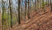 Randonnée Marche Thuin - Balade à l'abbaye d'Aulne - Photo 8