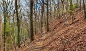 Tocht Stappen Thuin - Balade à l'abbaye d'Aulne - Photo 8