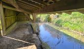 Randonnée Marche Boursay - Boursay - Le Moulin des Gaults - Photo 6