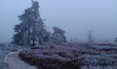 Trail Walking Spa - petit tour de la fagne - berinzenne - Photo 7