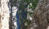 Trail Walking La Palud-sur-Verdon - Sentier Blanc Martel IGN  3442 OT - Photo 4