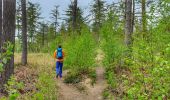 Trail Walking Gesves - Balade à Faulx-les-Tombes - Photo 5