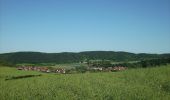 Excursión A pie Kaiserpfalz - Roßleben-Arche-Nebra - Photo 1