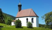 Percorso A piedi Wackersberg - Wanderweg 460 - Isarwinkel - Photo 1