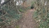 Randonnée Marche Ferrières - M’y (marche Adeps)11KM - Photo 2