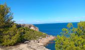 Excursión Senderismo Leucate - leucate - cap des frères (sentier des bergers) -la franqui (sentier des guetteurs) - leucate (se tier des vignerons) - Photo 16