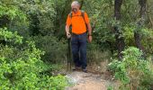 Trail Walking Le Revest-les-Eaux - Le revest les eaux - Photo 7