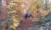 Trail Walking Fontainebleau - fontainebleau table du roi - Photo 1