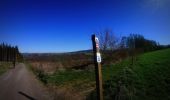 Tour Mountainbike La Roche-en-Ardenne - activity_8670328691 - Photo 3