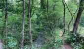 Tour Wandern Le Broc - Pont de l'Estéron, Chapelle Sainte Marguerite, bord de l'Estéron - Photo 7