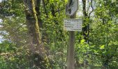 Trail Walking Havelange - Barvaux en Condroz 220425 - Photo 10