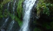 Randonnée Marche Albepierre-Bredons - Albepierre - Plomb du Cantal et des cascades - Photo 1