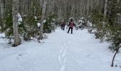 Tocht Stappen La Palud-sur-Verdon - Bastidon la palud  - Photo 17