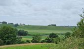 Tocht Stappen Maastricht - Maastricht  [Nature & ville] - Photo 7