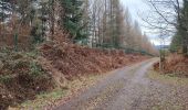 Tour Wandern Bertrambois - les chambres d hôtes de Laurette  - Photo 6