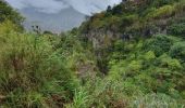 Trail Walking Ulba - Caminata desde la hosteria Chamanapamba - Photo 5