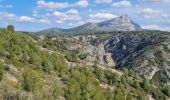 Excursión Senderismo Le Tholonet - bagage de zola - Photo 5