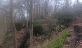 Tour Wandern Lüttich - montée bois de St Jacques . traversée par sart aux fraises . descente ruisseau de kinkempois - Photo 16