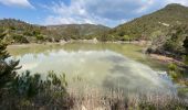Trail Walking Fréjus - Depuis la Louve en boucle - Photo 14