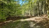 Trail Walking Spa - spa de la ville a la fagne - Photo 7