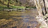 Tour Wandern Lapleau - viaduc rochers noirs - Photo 18