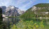 Trail Walking Prags - Braies - lac de braies 1112m 20kms  - Photo 16