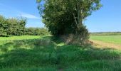 Tocht Stappen Domjean - Rando gorge de la Vire  - Photo 4