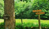 Tocht Stappen Cormot-Vauchignon - Vaugignon la cascade - Photo 2