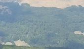 Excursión Senderismo Omblèze - Roc de toulau (découverte) - Photo 1