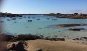 Tour Wandern Perros-Guirec - Bretagne - Ploumanac’h-Tregastel  par la côte de Granit Rose - Photo 5