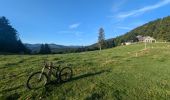 Percorso Mountainbike Metzeral - Tour du Gaschney par le Sattel - Photo 1