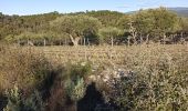 Tocht Stappen Le Thoronet - Le Thoronet- Canal de Ste Croix - Argens - Photo 1