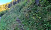Tour Wandern Metzeral - Tour Steinabruck - Mittlach - Photo 20