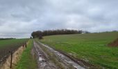 Trail Walking Wanze - Antheit 070125 - Photo 6