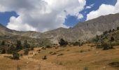 Tocht Stappen Chorges - au dessus de Chorges : Naume Raze . les Drayes . parking des Gardes . Forest Barthiers . Naume Raze - Photo 11