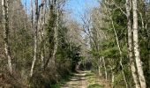 Trail Walking Villemontais - Villemontais : Chérier et Haut Ste-Agathe - Photo 8