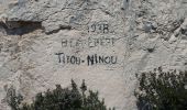 Excursión Senderismo Hyères - Les calanques titou Ninou les 3 arches - Photo 8