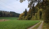 Trail On foot Trendelburg - Grenzland-Rundweg 1 - Photo 5