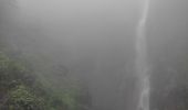 Trail Walking Capesterre-Belle-Eau - chutes du carbets 1 et 2 🇬🇵 - Photo 3