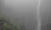 Randonnée Marche Capesterre-Belle-Eau - chutes du carbets 1 et 2 🇬🇵 - Photo 3