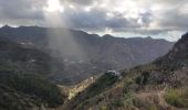 Tour Wandern Santa Cruz de Tenerife - Afur - Taganana - Photo 9