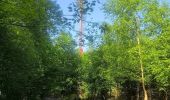 Trail Walking Canteleu - Forêt monumentale - Photo 14