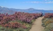Trail Walking Santa Colomba de Somoza - vers El Acebo - Photo 8