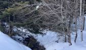 Tour Schneeschuhwandern Génos - Val Louron raquettes - Photo 1