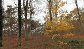 Trail On foot Chaumont-Gistoux - #181130 - Autour de Vieusart, version courte - Photo 2