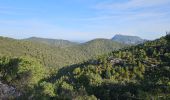 Tour Wandern La Roquebrussanne - Jas d'Agnis au départ de la Roquebrussanne par le vallon de Valescure - Photo 2